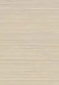 Door Texture: White Oak