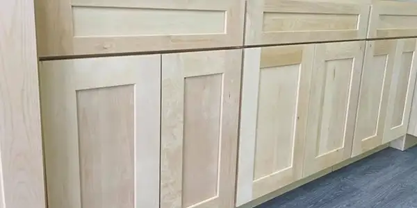 Versa Shaker (WS) Cabinets Versa Shaker (WS) Cabinets