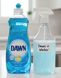 Dish Soap and Water Dish Soap and Water